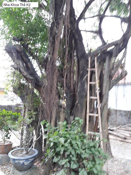 Hình ảnh Nha Khoa Thế Kỷ