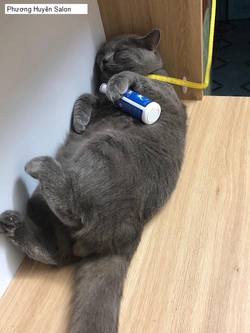 Hình ảnh Phương Huyên Salon